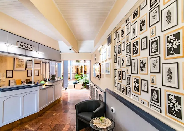 Jogar Balatonföldvár